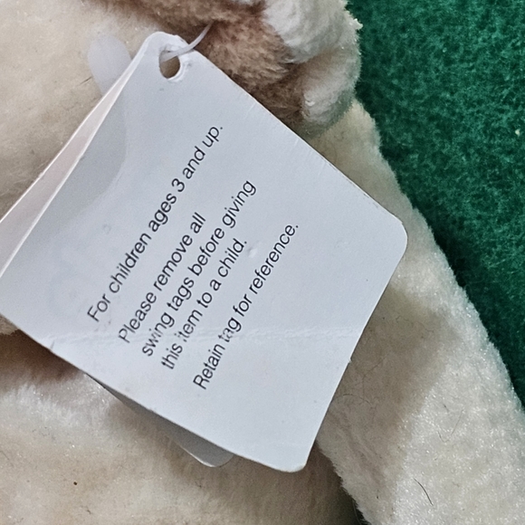 Snuggle Bean Bear - Born October 23, 1982 - Picture 8 of 12